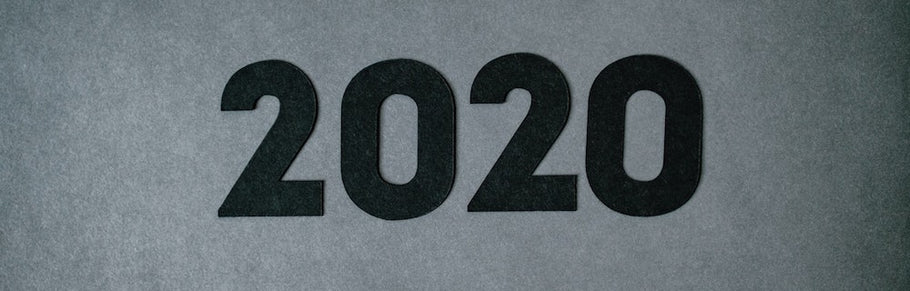全年回顾: 2020年, 我们学到了什么？