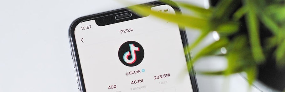 为什么今年高校海外招生需要使用Tik Tok？